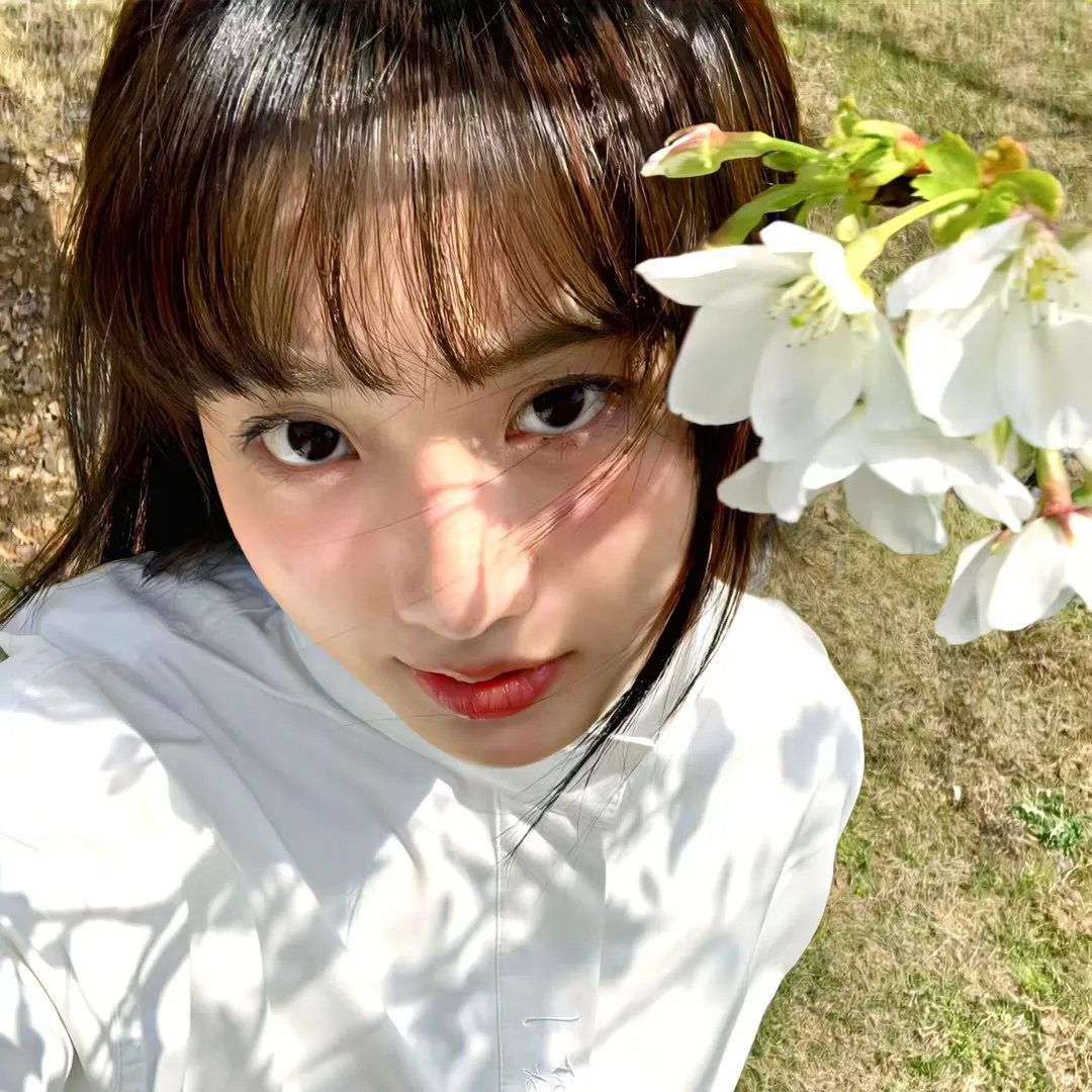 岗上花开